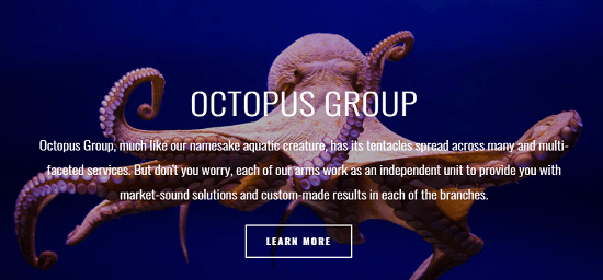 Whether Octopus Group is legit or not? Octopus Group Review
